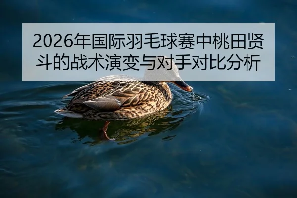 nian-guo-ji-yu-mao-qiu-sai-zhong-tao-tian-xian-dou-de-zhan-shu-yan-bian-yu-dui-shou-dui-bi-fen-xi-2-713.jpg