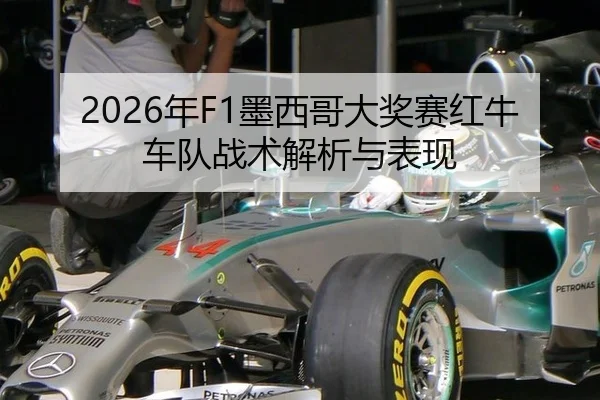 2026年F1墨西哥大奖赛红牛车队战术解析与表现