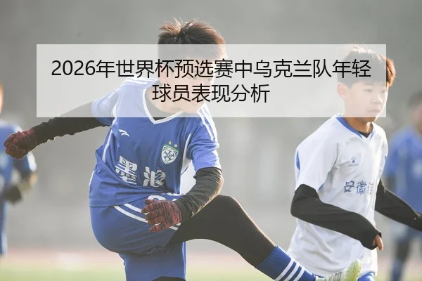 2026年世界杯预选赛中乌克兰队年轻球员表现分析