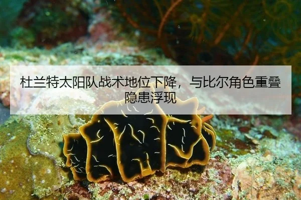 杜兰特太阳队战术地位下降，与比尔角色重叠隐患浮现